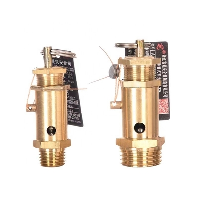 Shenzhen Port Size Hand/Steam Relief Valve Customized for Pressure Relief Efficiency