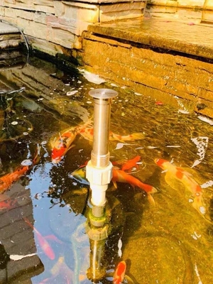 Hemisphere shower fountain nozzle(mushroom fountain nozzle)led water fountain light with nozzle