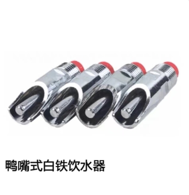 SS water feed spray nozzle for pig duckbill spray nozzle with plastic or ss head